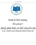 Bài giảng Kinh tế Môi trường: Bài giảng 9