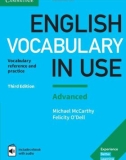 Ebook English vocabulary in use advanced (Third edition): Part 1