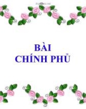 Bài giảng Luật hiến pháp Việt Nam: Bài 8 - ThS. Phan Nguyễn Phương Thảo