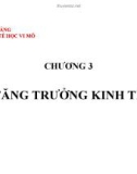 Bài giảng Kinh tế học vi mô: Chương 3 - TS. Nguyễn Hoàng Hiển