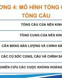 Bài giảng Kinh tế vĩ mô - Chương 4: Mô hình tổng cung và tổng cầu (Chương trình Cao học)