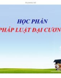 Bài giảng Pháp luật đại cương: Chương 1 - ĐH Kinh tế Đà Nẵng