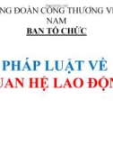 Bài giảng Pháp luật về quan hệ lao động