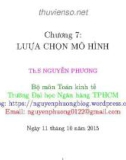 Bài giảng Kinh tế lượng: Chương 7 - ThS. Nguyễn Phương