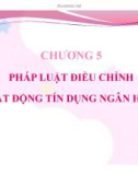 Bài giảng Luật ngân hàng và chứng khoán: Chương 5 - Nguyễn Từ Nhu