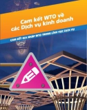 Hệ thống ngắn gọn về WTO và các cam kết gia nhập của Việt Nam - Cam kết WTO về các dịch vụ kinh doanh