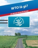 Hệ thống ngắn gọn về WTO và các cam kết gia nhập của Việt Nam - WTO là gì ?