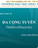 Tài liệu Đa cộng tuyến