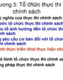 Bài giảng Tổ chức thực thi chính sách