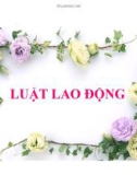 Bài giảng Luật lao động