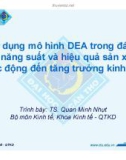 Sử dụng mô hình DEA trong đánh giá năng suất và hiệu quả sản xuất tác động đến tăng trưởng kinh tế - TS. Quan Minh Nhựt