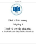 Bài giảng Kinh tế Môi trường: Bài giảng 8