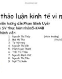 Tiểu luận: Kinh tế vi mô