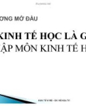 Bài giảng Nhập môn kinh tế học: Chương mở đầu - ThS. Hồ Hữu Trí