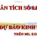 Phân tích số liệu và dự báo kinh tế trên Ms.Excel