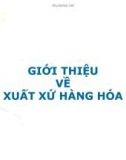 Bài giảng Giới thiệu về xuất xứ hàng hóa