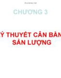 Bài giảng Kinh tế học vĩ mô - Chương 3: Lý thuyết cân bằng sản lượng