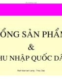 Bài giảng Hạch toán sản lượng quốc gia: Tổng sản phẩm và thu nhập quốc dân