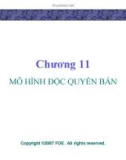 Bài giảng Lý thuyết kinh tế học vi mô: Chương 11 - GV. Đinh Thiện Đức