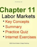 Lecture Microeconomics - Chapter 11: Labor Markets