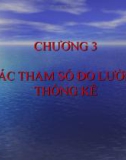 Bài giảng môn Nguyên lý thống kê kinh tế - Chương 3: Các tham số đo lường thống kê