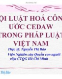 Bài giảng Nội luật hóa Công ước CEDAW trong pháp luật Việt Nam