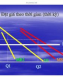 Bài giảng : kinh tế vi mô part 9