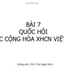 Bài giảng Pháp luật đại cương: Bài 7 - ThS. Trần Ngọc Định