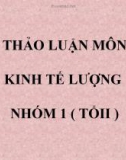 THẢO LUẬN MÔN KINH TẾ LƯỢNG