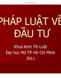 Bài giảng Pháp luật về đầu tư: Chương 1 - Đại học Mở TP HCM