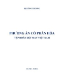 Phương án cổ phần hóa Tập đoàn Dệt may Việt Nam