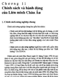 Liên minh Châu Âu và pháp luật cộng đồng Châu Âu - Một số vấn đề cơ bản: Phần 2