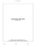 THỰC TRẠNG MARKETING VIỆT NAM - ĐỖ HÒA