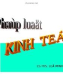 Bài giảng pháp luật kinh tế_c3_ppt