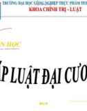 Bài giảng Pháp luật đại cương (General law) - Bài 6: Luật Hành chính