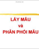 Bài giảng Các phương pháp phân tích định lượng: Lấy mẫu và phân phối mẫu