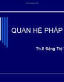 Bài giảng Quan hệ pháp luật - ThS. Đặng Thị Thu Trang