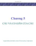 Bài giảng Lý thuyết kinh tế học vi mô: Chương 5 - GV. Đinh Thiện Đức