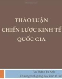 Bài giảng Thảo luận chiến lược kinh tế quốc gia - Vũ Thành Tự Anh