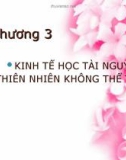 Bài giảng Kinh tế môi trường - Chương 3: Thiên nhiên không thể tái tạo