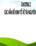 Bài giảng Kinh tế môi trường - Chương 2: Các vấn đề kinh tế về tài nguyên thiên nhiên