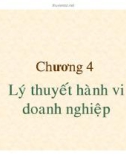 Bài giảng Kinh tế vi mô: Chương 4 - TS. Hạ Thị Thiều Dao