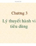 Bài giảng Kinh tế vi mô: Chương 3 - TS. Hạ Thị Thiều Dao