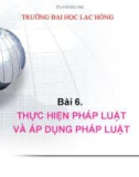 Bài giảng Pháp luật đại cương: Bài 6 (tt) - ĐH Lạc Hồng