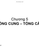 Bài giảng Kinh tế vĩ mô ( Trần Thị Minh Ngọc) - Chương 5 Tổng cung - Tổng cầu