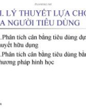 Bài giảng Kinh tế vi mô: Chương 3 - Lý thuyết lựa chọn của người tiêu dùng