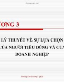 Bài giảng Kinh tế học đại cương - Chương 3: Lý thuyết về sự lựa chọn của người tiêu dùng và của doanh nghiệp