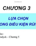 Bài giảng Chương 3: Lựa chọn trong điều kiện rủi ro