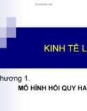 Giáo trình Kinh tế lượng_ Chương 1