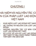 Bài giảng Luật lao động - Chương 1: Khái niệm và nguyên tắc cơ bản của pháp luật lao động Việt Nam